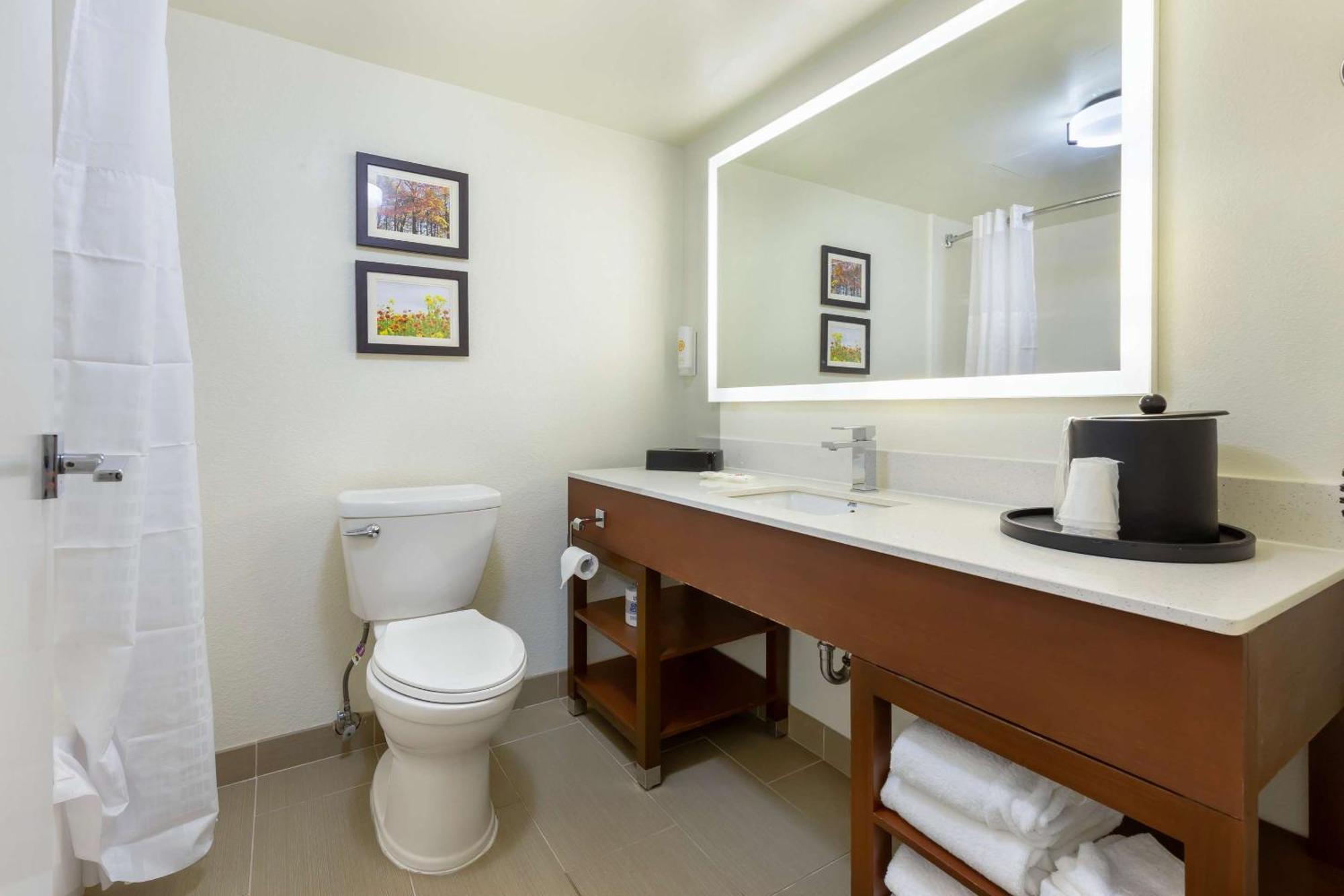 Comfort Suites Hanes Mall Winston-Salem Dış mekan fotoğraf